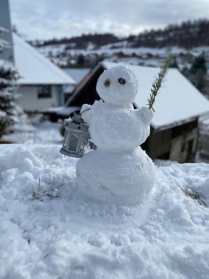 Mýto pod Ďumbierom Domcek V Strani 빌라 외부 사진